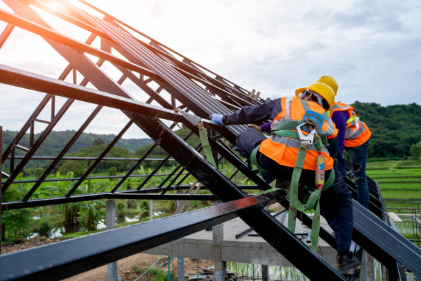 Best Storm Damage Roof Repair  in Ludlow, KY